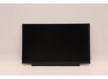 Lenovo Fru Bo NT116WHM-N42 V8.1 Hdt (5D10Z90322)