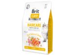 Brit 2Kg Salmone E Pollo Fresco Gf Haircar