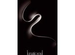 Lunatic Soul - Lunatic Soul - (Lp / L)