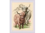 Riolis Kit Punto Croce Contato "Highland Friends"", Fai Da Te, 30X40Cm"