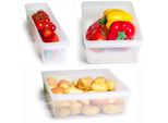 Set Di 3 Organizer Per Frigorifero Novaliv: Piccolo + Medio + Grande Organizzatore Per Cucina Senza Bpa Organizzatore Per Cucina Organizzatore Per Frigorifero Organizzatore Per Bottiglie A Prova Di Cibo Vano Portaoggetti Per Frigorifero