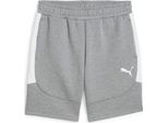 Puma Teamevostripe Pantaloncini Herren Grau Heather Silber Gr S