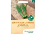 Erba Cipollina Grossa - Gonzales
