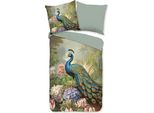 Biancheria Da Letto Good Morning Renforcé 200 X 200 Cm + 2- 80 X 80 Cm Fiori Di Ester E Pavone Colorati