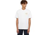 Maglietta Dickies Uomo Dickies Globe T, Taglia:M, Colori:Bianco