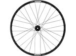 Mavic Deemax Dh 29´´ Int Boost Mtb Ruota Anteriore Argento 20 X 110 Mm Argento 20 X 110 Mm