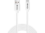 Sandberg Da USB-C A USB-A 2.0 2M Saver