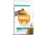 Cibo Per Gatti Iams 150550 Pollo 10 Kg