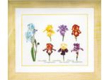 Thea Gouverneur Kit Punto Croce "Iris Panel Evenweave"", 47X36Cm"