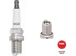 Candela Di Accensione Ngk R5671A-10 [6239] Standard