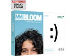 Mm Bloom Carta Per Copie Smart 9948B80B A3 80G 500 Fogli