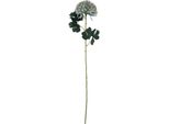 Hill Interiors - Fiore Artificiale HI4826 (Taglia Unica) (Viola)