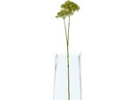 Hill Interiors - Fiore Artificiale HI4817 (Taglia Unica) (Verde)