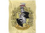 Harry Potter - Coperta "Tassorosso"", Stemma Cucito TV18537 (Taglia Unica) (Colorato)"