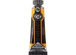 Rembrandt Colori Ad Olio In Tubetto 15 Ml Aureolin 242