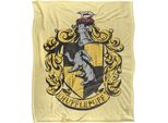 Harry Potter - Coperta "Ravenclaw"", Dipinta TV18474 (Taglia Unica) (Colorato)"
