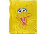 Sesame Street - Coperta, Testa TV18504 (Taglia Unica) (Colorato)