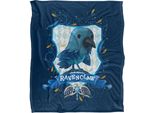 Harry Potter - Coperta "Ravenclaw"", Goldige TV18558 (Taglia Unica) (Colorato)"