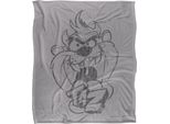 Looney Tunes - Coperta, Sbiadita TV18716 (Taglia Unica) (Multicolore)