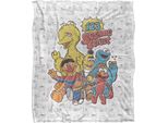 Sesame Street - Coperta "123"", Foto Di Gruppo TV18574 (Taglia Unica) (Colorato)"