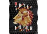 Harry Potter - Coperta "Grifondoro"", Leone TV18626 (Taglia Unica) (Colorato)"