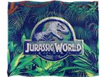 Jurassic World - Coperta, Verde Scuro TV18639 (Taglia Unica) (Bianco)