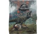 Jurassic World - Coperta, "T-Rex"" TV18640 (Taglia Unica) (Colorato)"