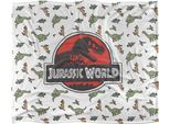 Jurassic World - Coperta, Disegno TV18641 (Taglia Unica) (Bianco)