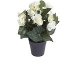 Kunstblume BOTANIC-HAUS "Begonienbusch Mit 7 Stielen", Beige (Creme, Weiß), B:18Cm H:26Cm T:18Cm Ø:18Cm, Kunststoff, Kunstpflanzen