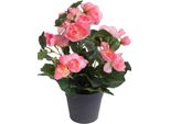 Kunstblume BOTANIC-HAUS "Begonienbusch Mit 7 Stielen", Pink (Hellpink), B:18Cm H:26Cm T:18Cm Ø:18Cm, Kunststoff, Kunstpflanzen
