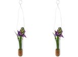 Kunstblume Creativ Green "Hyacinthe In HäNgevase", Lila, B:4Cm H:35Cm, Kunststoff, Kunstpflanzen