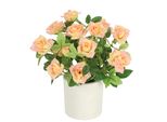 Kunstblume I.Ge.A. "Wildrosen Busch Im Topf", Orange (Peach), B:18Cm H:21Cm L:18Cm, Polyester, Kunstpflanzen, Rosen Kunstrosen Kunstpflanze Blumen KüNstliche Hochzeitsdeko