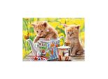 Castorland Puzzle Tea Time 500 Pezzi