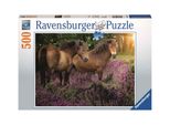 Pony Nella Brughiera Ravensburger 14813