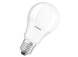 Lampadina Led 13W 6500K E27 A100