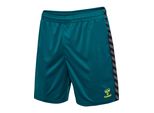 Hummel Hmlauthentic Poly Shorts Herren Benzina Gr L