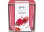 Ipuro Lovely Flowers, Quadrato, Rosa, Floreale, Mughetto, Muguet, Muschio, Rosa, Vaniglia, Ylang-Ylang, 25 H, 1 Pz