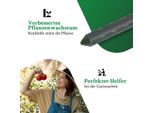 Novatool 5 Bastoni Per Piante 75 Cm Verde Diametro 8 Mm Bastoni Per Arrampicata In Metallo Plastificato Aiuto Per L'arrampicata Bastoni Per Pomodori Portafiori