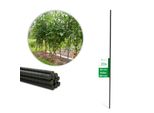Novatool 20 Bastoni Per Piantare 60 Cm Verdi Diametro 8 Mm Bastoni Per Arrampicarsi In Metallo Plastificato Aiuto Per Arrampicarsi Bastoni Per Pomodori Portafiori