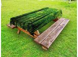 Abakuhaus Tovaglia Naturale Per Esterni, Woodland Tree Forest Jungle In Una Giornata Di Sole Madre Terra Immagine Ambientale, Sigillo Marrone Verde Felce, 145X210 Cm