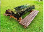 Abakuhaus Tovaglia Per Esterni Con Motivo Foresta Pluviale, Mattina, Foresta Selvaggia, Edera, Albero, Tranquillità Nella Natura, Foresta Pluviale, Giungla, Motivo Fotografico, Verde Marrone, 145X305 Cm