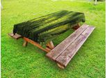 Abakuhaus Tovaglia Da Tavolo Outdoor, Foglie Di Palma, Piante Tropicali, Tema Boschivo, Immagine Esotica Di Bellezza Naturale, Verde, 145X210 Cm