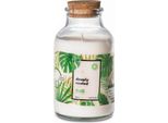 Candela Profumata Go Green - Radici Profonde 420G