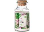 Candela Profumata Go Green - Follow The Sun 220G