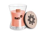 Candela Profumata Basic - Wood & Whisky S 100G