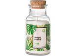 Candela Profumata Go Green - Radici Profonde 220G