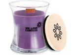 Candela Profumata Basic - Blackberry S 100G