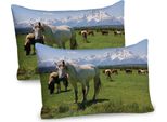 Abakuhaus Parchi Nazionali Federa Per Cuscino Confezione Da 2, Design Cavallerizzo Snowy Cime Montuose Idilliache Arabian Horse Stampe Artistiche, Federa Per Cuscino Decorativa Stampata, 80X40 Cm, Multicolore