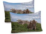 Abakuhaus Federa Per Cuscino Con Motivo Animali Della Fattoria, Confezione Da 2, Tema Agricoltura, Foto Di Mucche Al Pascolo Con Un Incredibile Cielo Nuvoloso, Federa Decorativa Stampata, 80X40 Cm, Multicolore