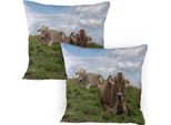Abakuhaus Federa Per Cuscino Con Motivo Animale Da Fattoria, Confezione Da 2, Tema Agricolo, Foto Di Mucche Al Pascolo Con Un Incredibile Cielo Nuvoloso, Federa Decorativa Stampata, 80X80 Cm, Multicolore